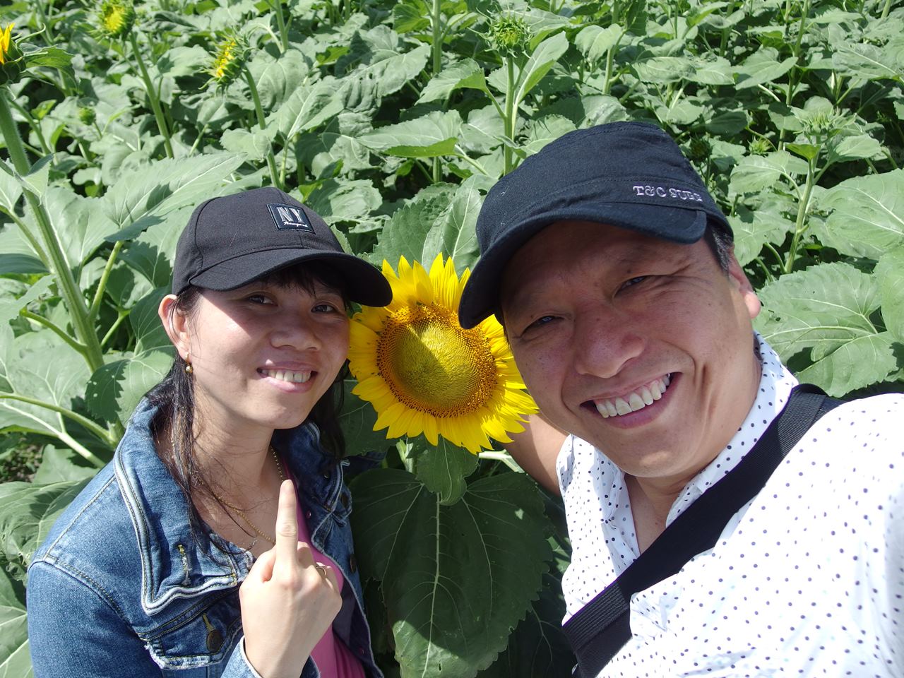 50歳目前で離婚・再婚